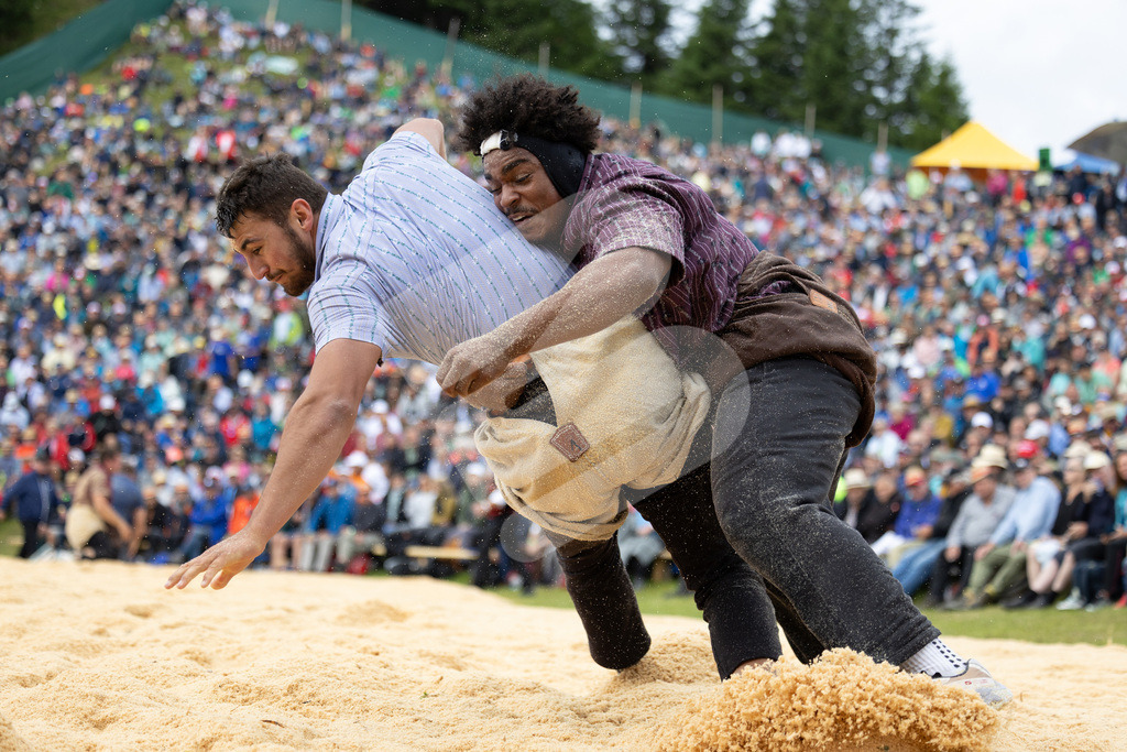 Rigi2025_0832 | Die Schwinger des Schwyzer Kantonalen Schwingerverbandes: Fotos, die Dynamik und Leidenschaft festhalten, sowie emotionale Momente aus dem traditionellen Schwingsport zeigen. - Realisiert mit Pictrs.com
