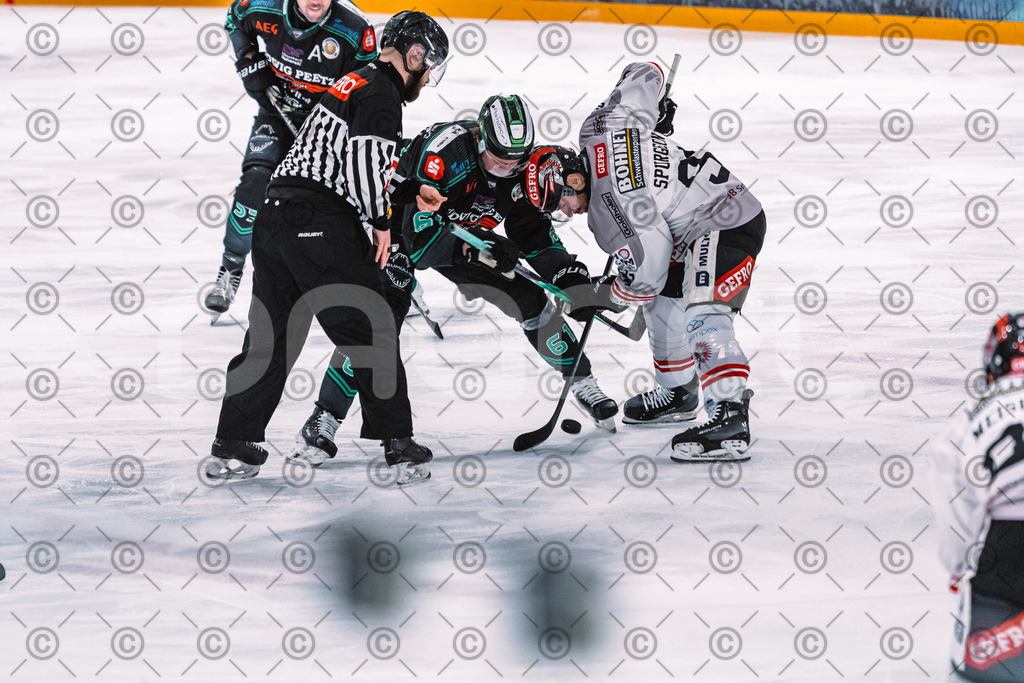 Alligators_vs_Memmingen_05_12_2025-079 | Höchstadt Alligators Fotogalerie: Eishockey-Action aus Franken. Professionelle Spielfotos, Portraits & Stadionbilder zum Download. Jetzt entdecken! - Realisiert mit Pictrs.com