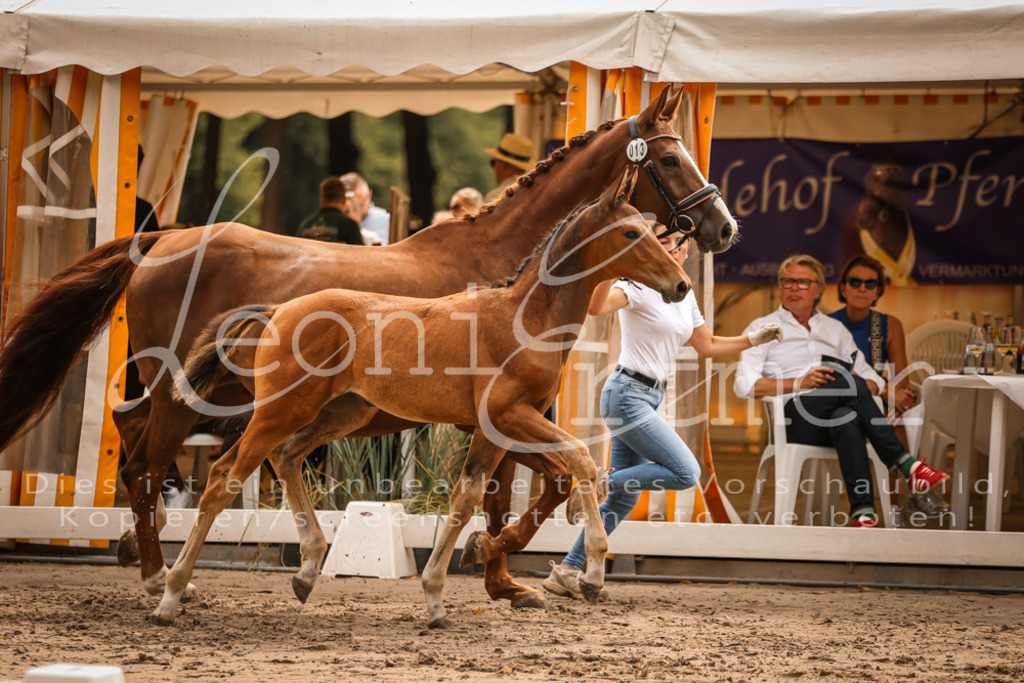 SaPA00188 | Leoni Ertmer Photography - Realisiert mit Pictrs.com