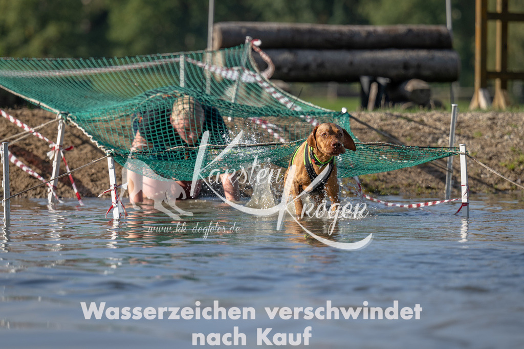 1119_ZZ92297 | kk-dogfotos