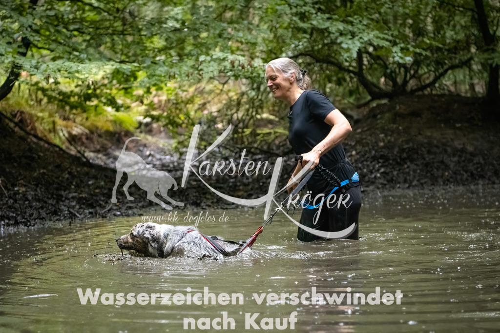 1240_ZZ91216-Bearbeitet | kk-dogfotos