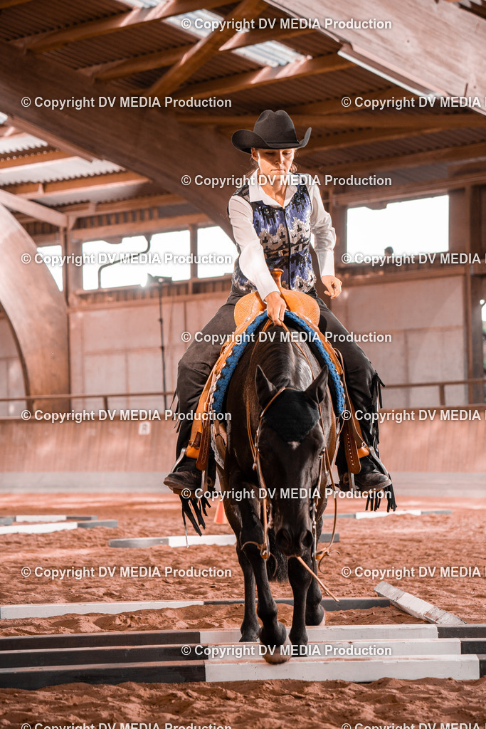 NE300202 | dv-media-shop - Realisiert mit Pictrs.com