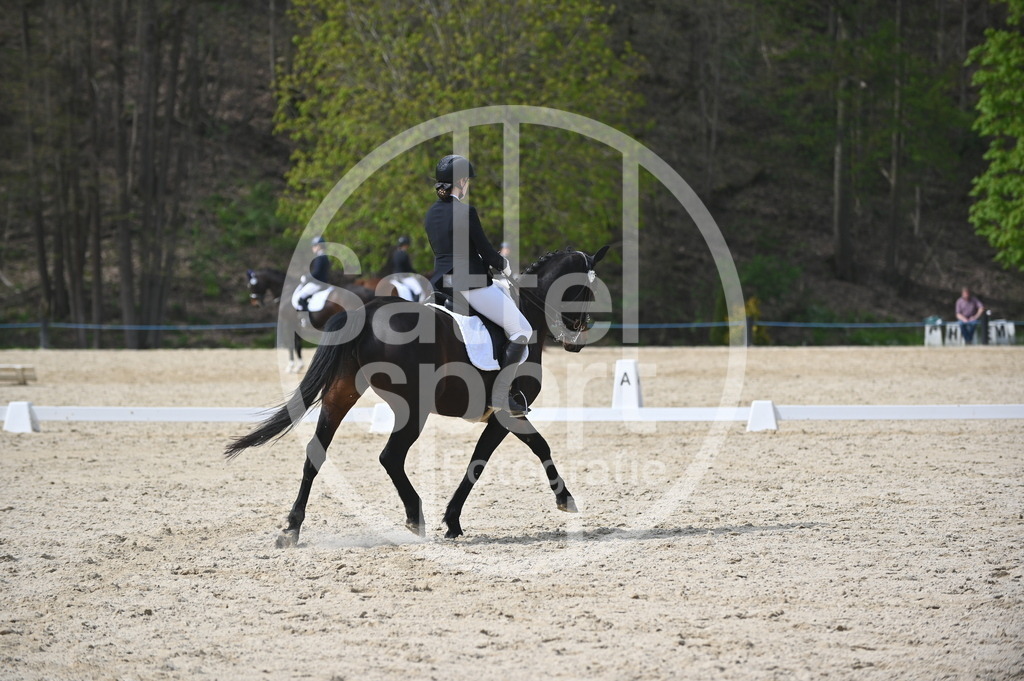 DSC_4282 | sattelsport - Realisiert mit Pictrs.com