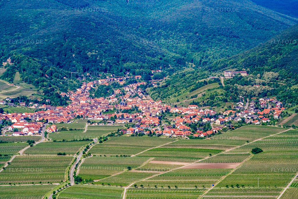 Luftbild: Ort am Gebirgsrand von Osten im Ortsteil Diedesfeld in Neustadt im Bundesland Rheinland-Pfalz in Deutschland. Foto: IMG_2178.jpg vom 03.06.2006 durch Werner Riehm/FLY-FOTO.de