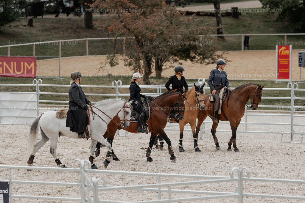 WE__Stoib_Rinder_PI2025_3169 | Pferd International München 2025