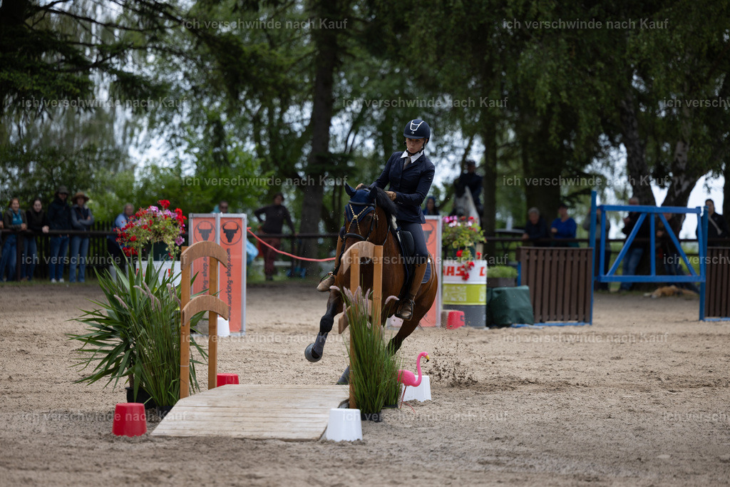 Masterclass_stoibphotography_C2_C8574.CR3 | working equitationturnier fotograf videograf stoibphotography marixx film working equitation deutschland reitsport turnierfotografie eventfotografie equestrian events