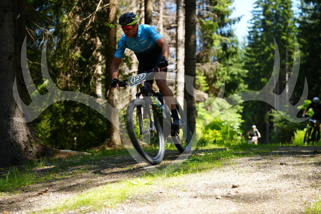FC101466 | Fotogalerie der Treibjagd im Dunkelwald - Dein MTB Etappenrennen im Erzgebirge - Realisiert mit Pictrs.com