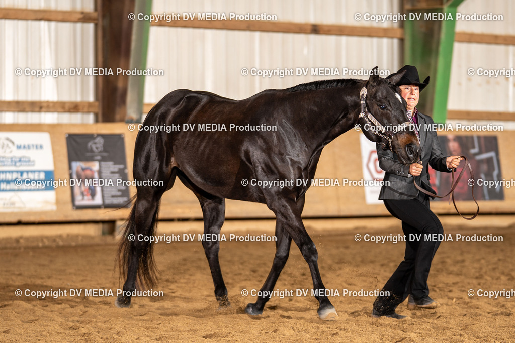 Balingen Tag 1-07 | dv-media-shop - Realisiert mit Pictrs.com