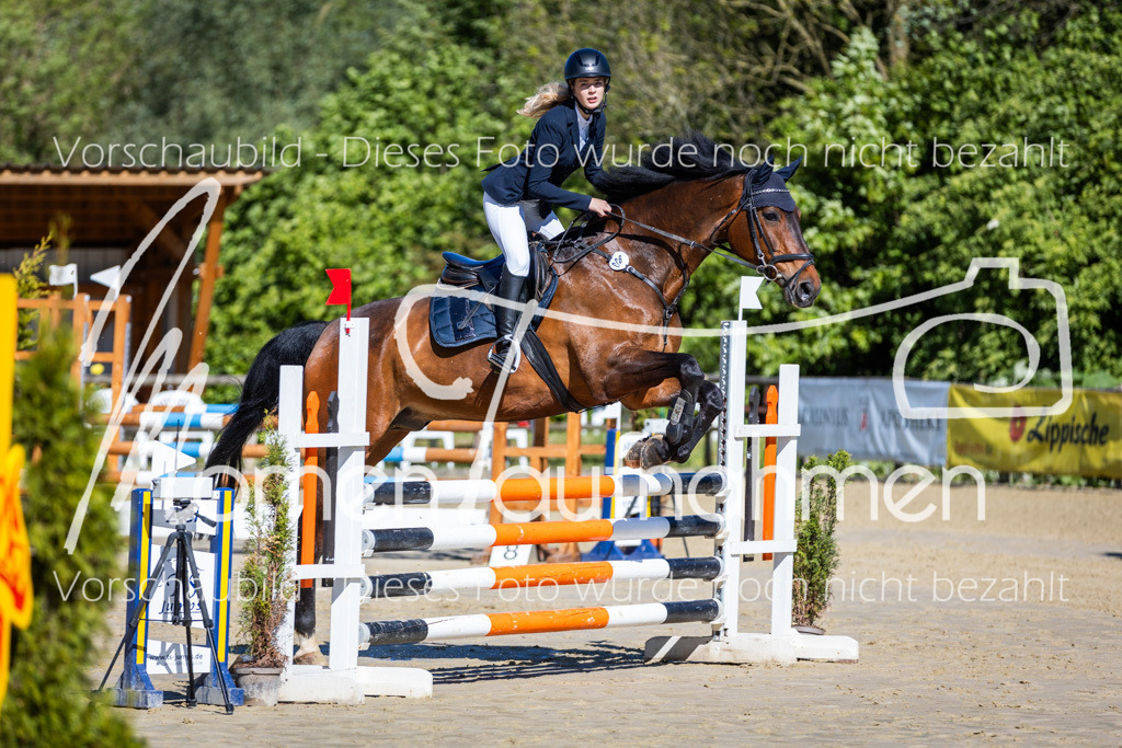 Donop24-A2Spr-011 | MomenTaufnahmen Pferdesportfotos