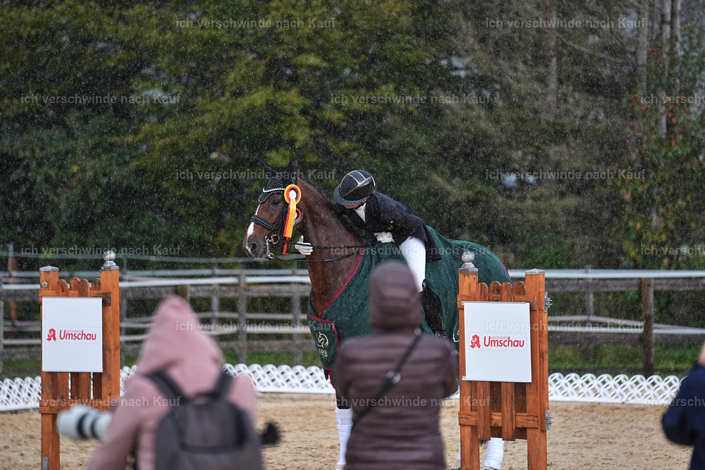 07-Siegerehrung-DRESSUR  S___  -Marixx-5175 | working equitationturnier fotograf videograf stoibphotography marixx film working equitation deutschland reitsport turnierfotografie eventfotografie equestrian events