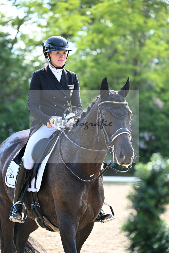 Equistro Dressurderby_26268102 | hf-fotografie - Realisiert mit Pictrs.com