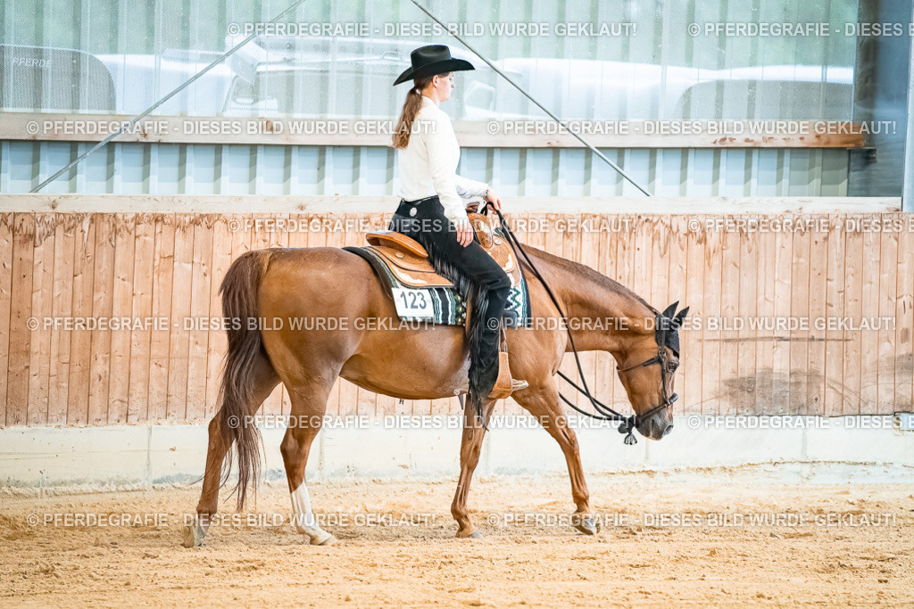 DSC00151 | Pferdegrafie