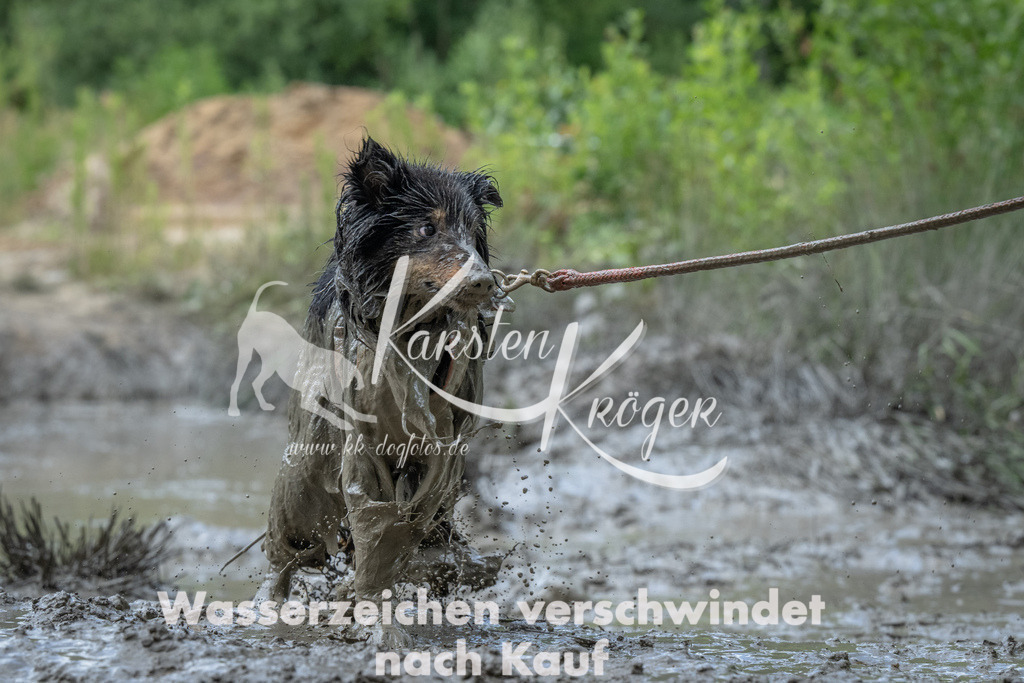 1021_ZZ92101 | kk-dogfotos