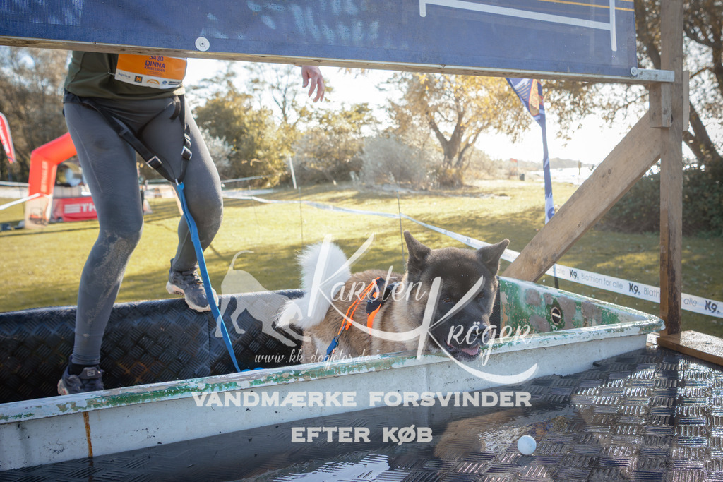 1212_ZZ95053 | kk-dogfotos