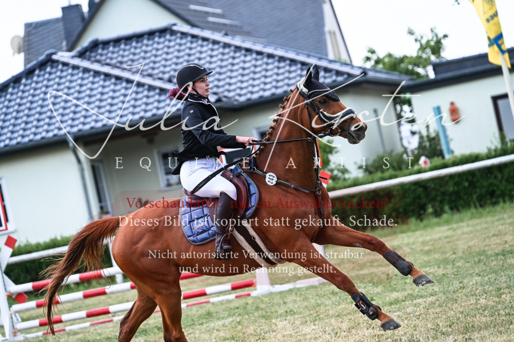 DSC_9097 | Pferde- und Turnierfotografie in Westsachsen. Pferdeportraits, Auftragszeichnungen und intuitive Kunst.