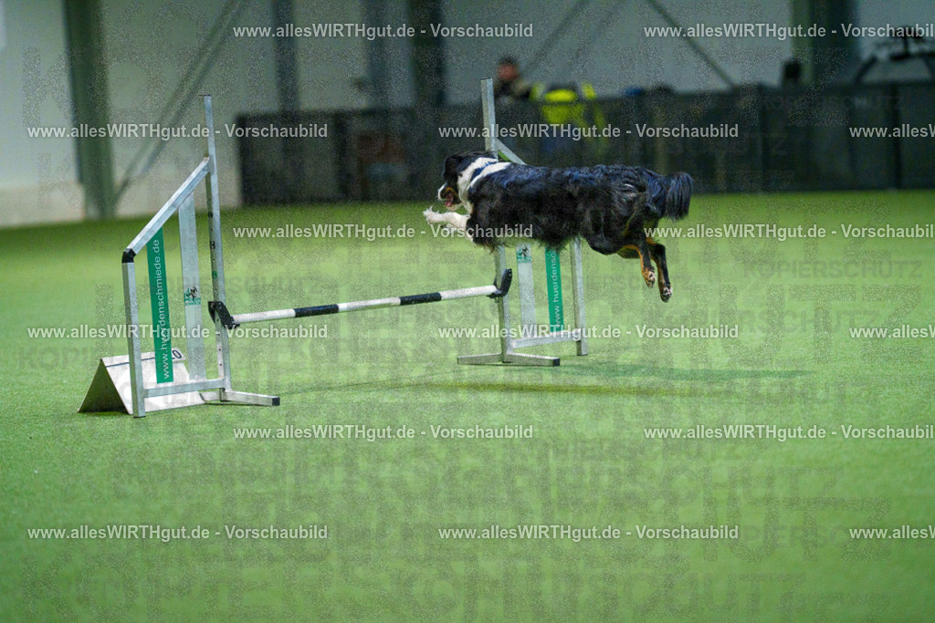 7R500576 | Professionelle Tierfotografie in Mönchengladbach von Daniel Wirth (allesWIRTHgut). Liebevolle & natürliche Bilder von Hunden & Katzen für unvergessliche Erinnerungen.