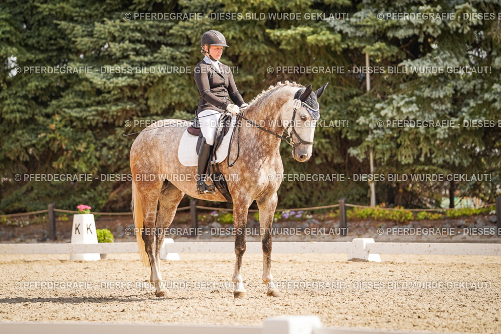 DSC01110 | Pferdegrafie