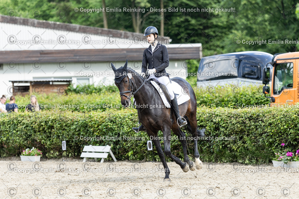 CL5A6113-2 | Emilia Reinking Fotografie - Realisiert mit Pictrs.com