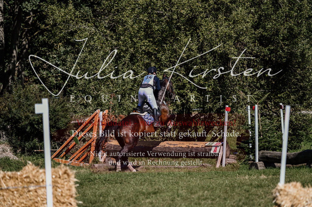 DSC_1855 | Pferde- und Turnierfotografie in Westsachsen. Pferdeportraits, Auftragszeichnungen und intuitive Kunst.