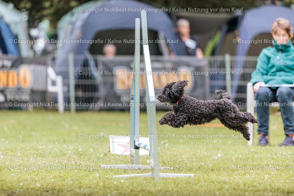 RO-Blumenthal-2026-Nickbest-Hundefotografie-3211 | Dein Hund! Dein Moment! Deine Erinnerungen! Hundefotografie in Bremen Blumenthal. Ich fange die besonderen Momente deines Vierbeiners ein – ob Indoor mit Blitzanlage oder in der freien Natur. Sicher dir dein Moment und dein Termin für eure Erinnerungen.