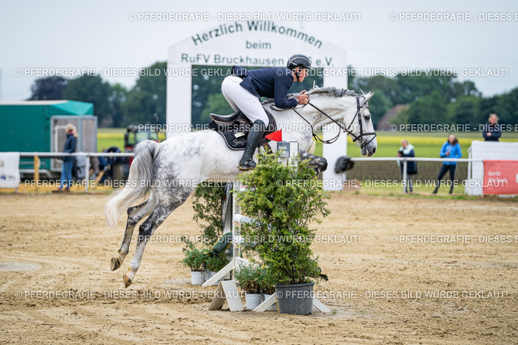 DSC04801 | Pferdegrafie