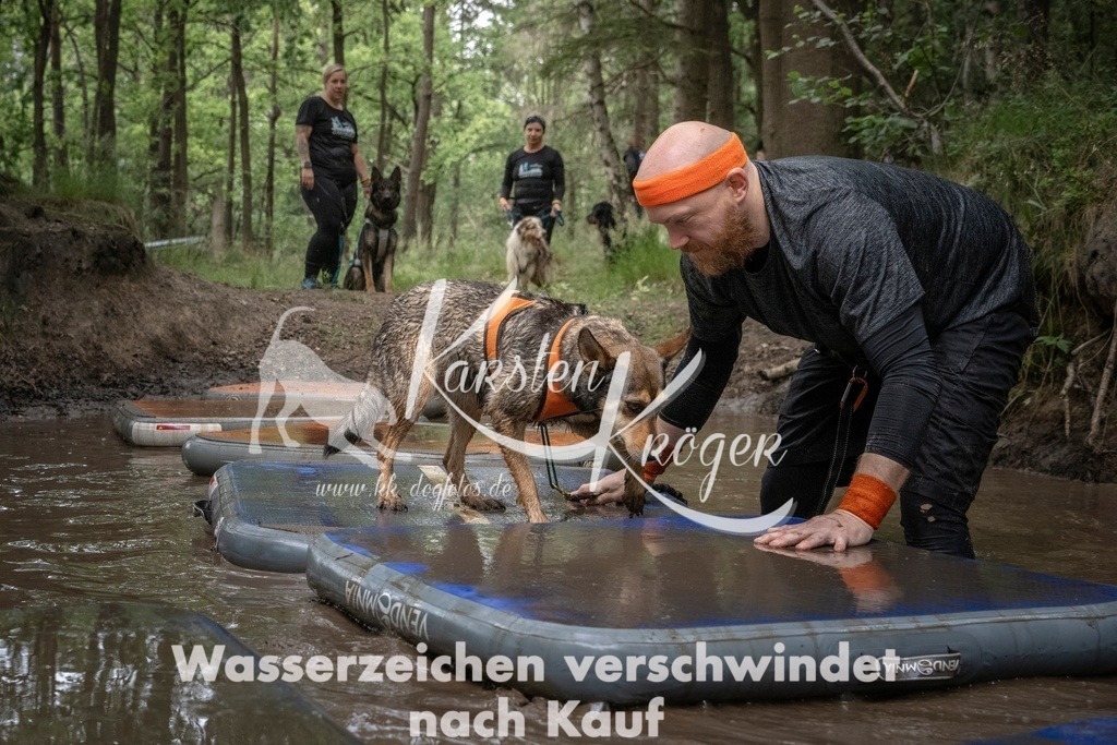 1223_ZZ98817T | kk-dogfotos