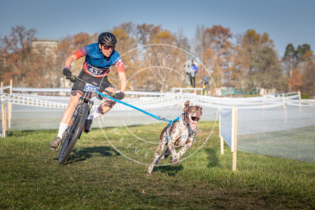 CaniXpix_0L8A4259 | Hundefotografie, Tierfotograf, Pfotenfotografie, Fotoshooting Hund, Hunde Portrait, Hundesport, Hundeportraits, Heideshooting, Hunde, Sportfotograf, Hundefotograf, Turnierhundsport, THS,  - Realisiert mit Pictrs.com