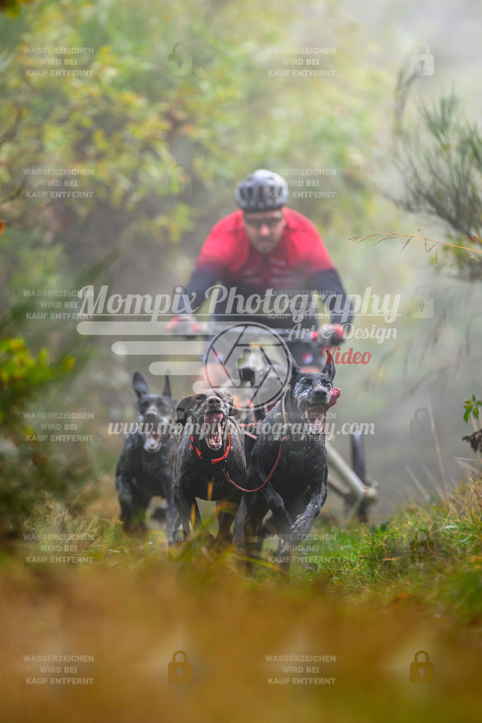 MompixPhotography_20TSB_E4_Kart-12 | PayLife