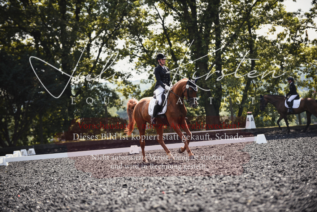 DSC_4071 | Pferde- und Turnierfotografie in Westsachsen. Pferdeportraits, Auftragszeichnungen und intuitive Kunst.
