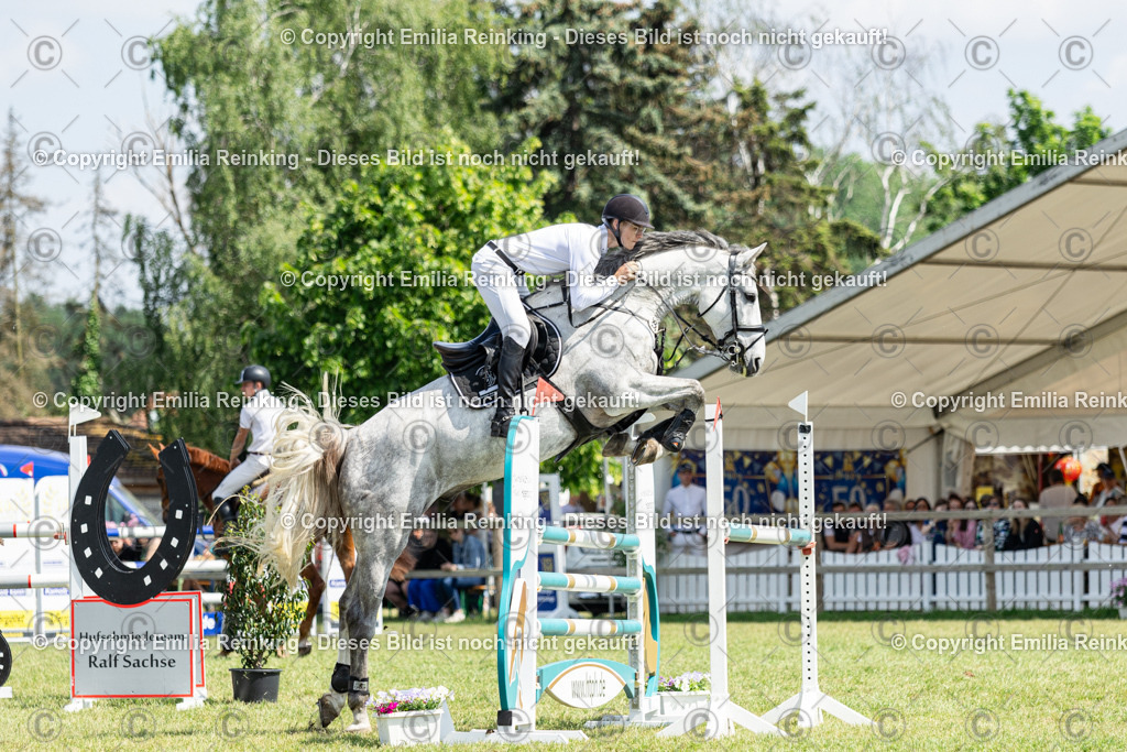 CL5A4391 | Emilia Reinking Fotografie - Realisiert mit Pictrs.com