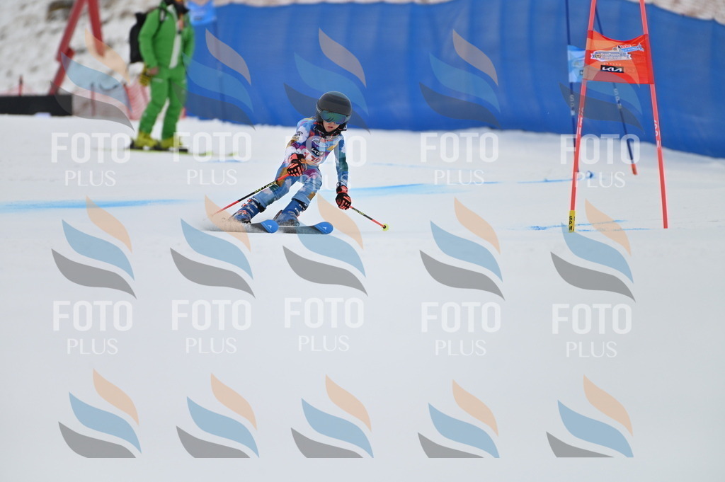 BGV_0657 | holidayphoto