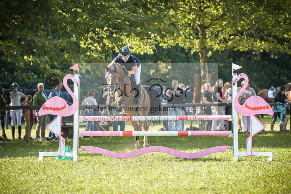 DOS_1421 | Entdecke hochwertige Reitturnierfotos von Foto Oger. Professionell, emotional und authentisch – jetzt Lieblingsmomente im Shop bestellen.Deutschlandweite Turnierfotografie. - Realisiert mit Pictrs.com