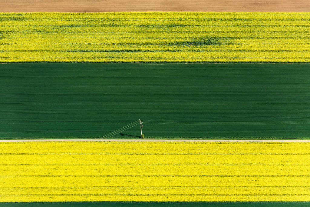 dr__0011601.jpg | GREDING 10.05.2017 Feld- Landschaft gelb blühender Raps- Blüten in Greding im Bundesland Bayern, Deutschland. // Field landscape yellow flowering rapeseed flowers in Greding in the state Bavaria, Germany. Foto: Daniel Reiter