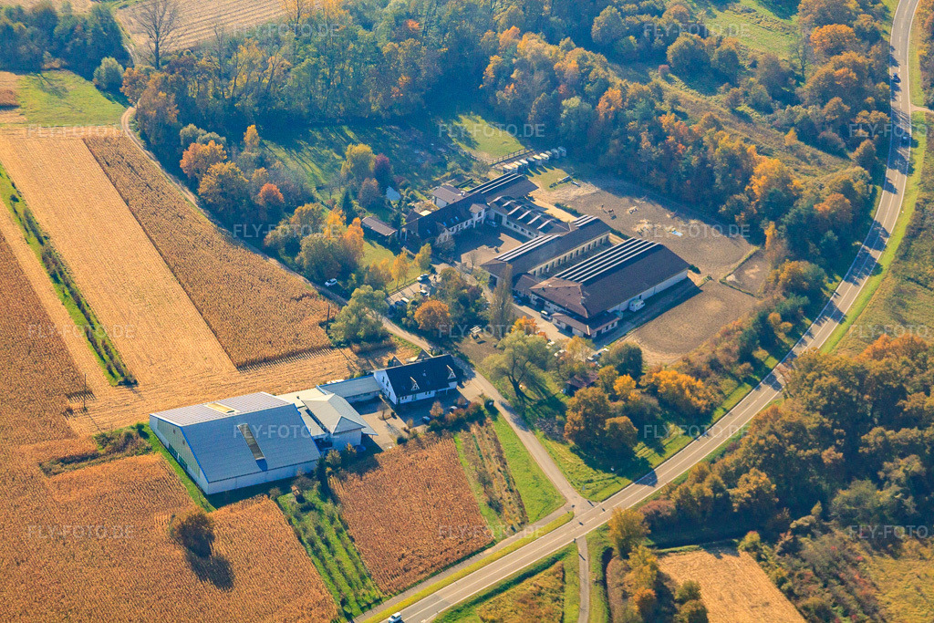 Luftbild: Pferdehof in Hagenbach im Bundesland Rheinland-Pfalz in Deutschland. Foto: IMG_35355.jpg vom 31.10.2010 durch Werner Riehm/FLY-FOTO.de
