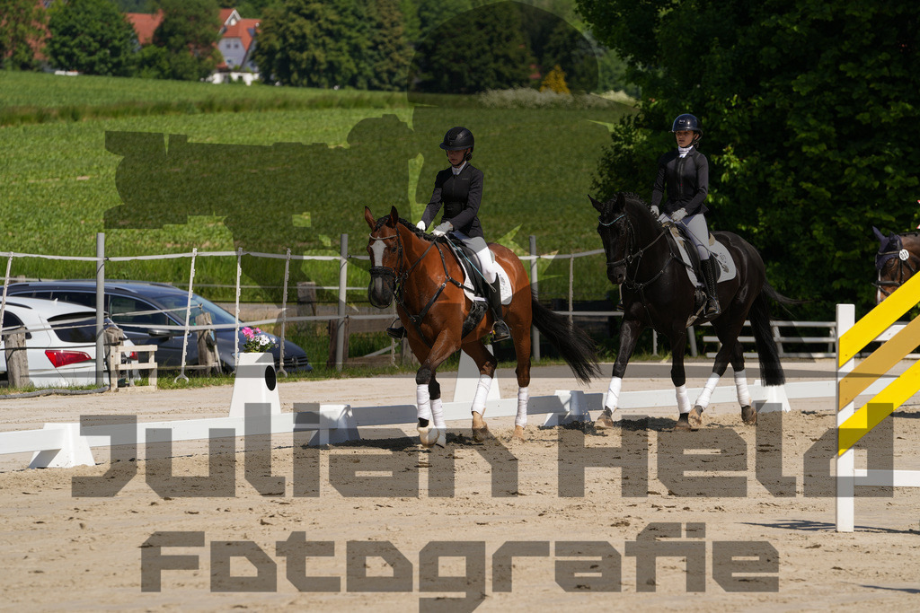 DSC03205 | Julian Held Fotografie - Realisiert mit Pictrs.com