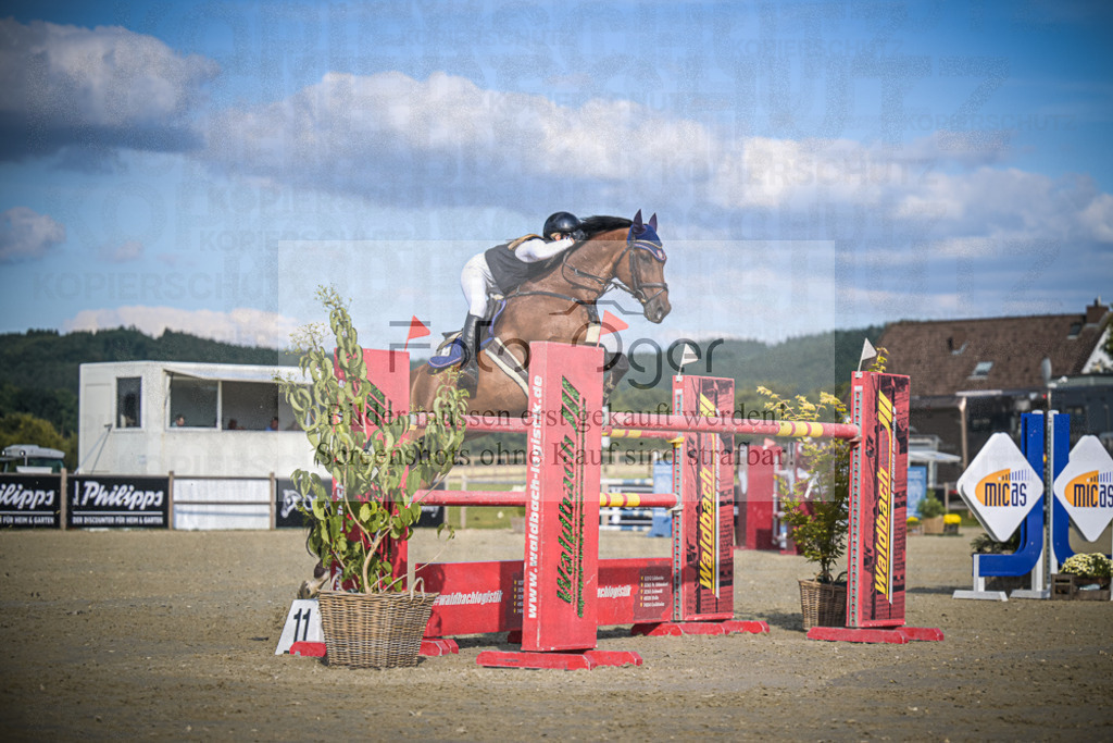 DOS_2747 | Entdecke hochwertige Reitturnierfotos von Foto Oger. Professionell, emotional und authentisch – jetzt Lieblingsmomente im Shop bestellen.Deutschlandweite Turnierfotografie. - Realisiert mit Pictrs.com