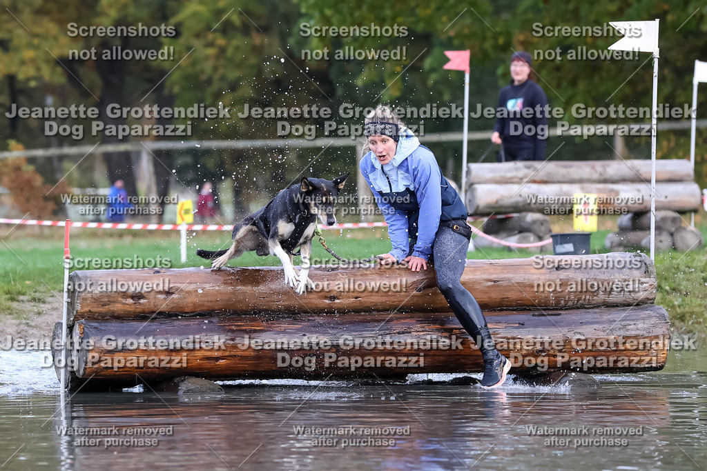 Dog Paparazzi - Strongdog 10-25-6609 | Dog Paparazzi Jeanette Grottendiek Fotografie & Videografie - Realisiert mit Pictrs.com