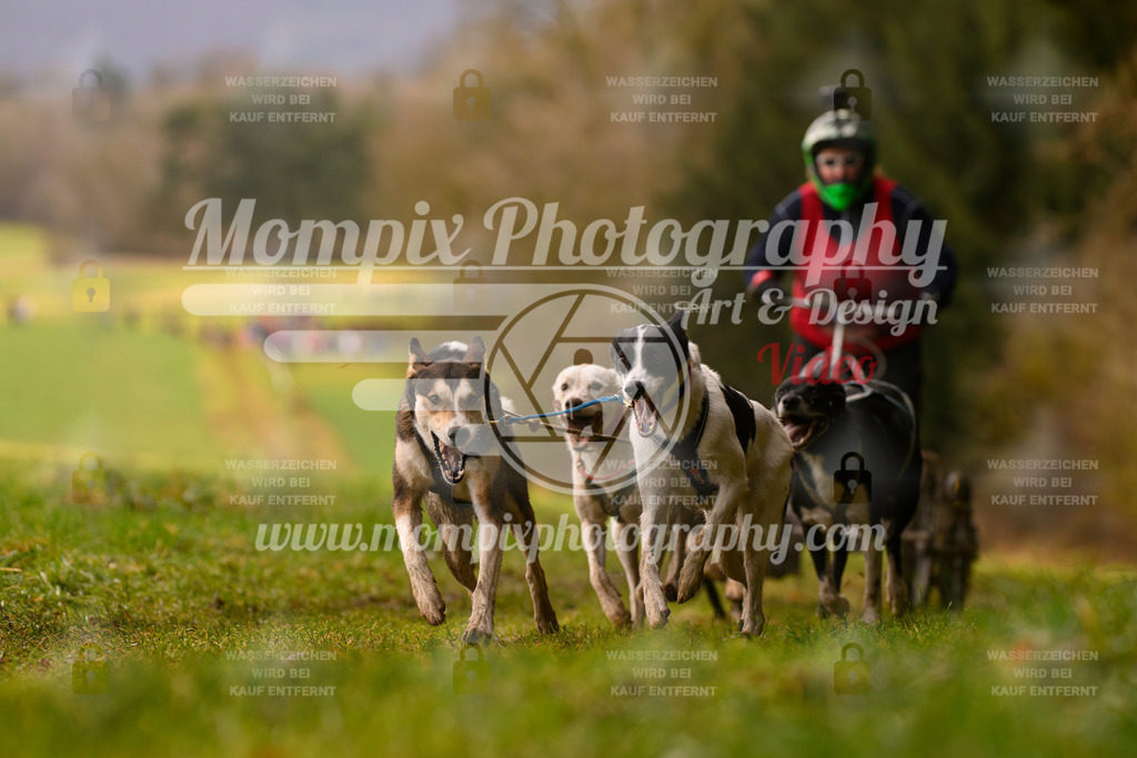 MompixPhotography_2SSTSSBW_2025_SO_Kart-30 | PayLife