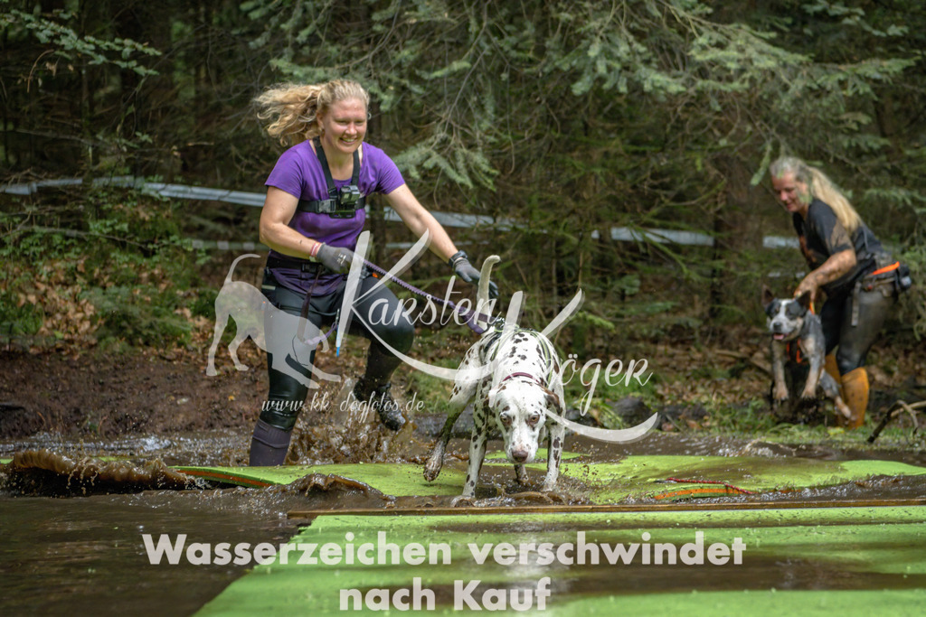 1530_ZZ90978-Bearbeitet | kk-dogfotos