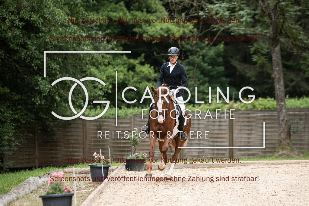 DSC_3060 | Turnierfotografin Carolin Gieschke,Reitsport Turnierfotografie Carolin G Fotografie | Turnierfotos aus Kirchheim/Teck, Esslingen, Stuttgart und dem Bodenseekreis