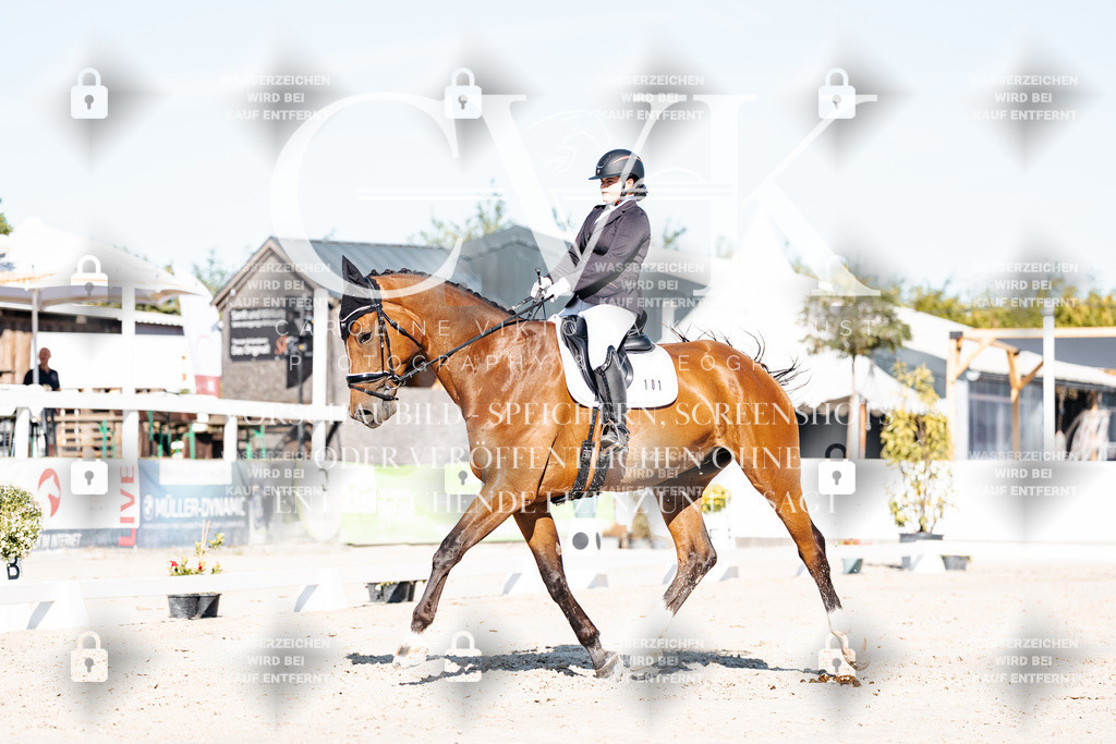 CK907648 | Turnierfotografie Pferdefotografie Trier Rheinland-Pfalz Pferdesport Reitsport Tierfotografie Sportfotografie Pferdevideo Pferdevideografie Equestrianvideography equestrianphotography  - Realisiert mit Pictrs.com