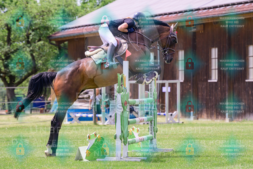 30052026-Forstinning-Prfg23-0101 | Fokus Hufschlag Fotografie - Realisiert mit Pictrs.com