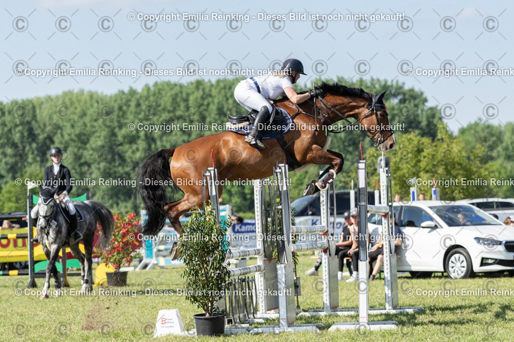 CL5A5313 | Emilia Reinking Fotografie - Realisiert mit Pictrs.com