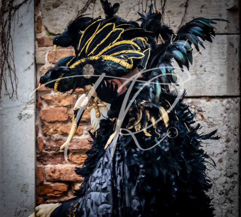 D3F45921-7B03-461D-9671-61416455BB34 | traudl_s_fotos