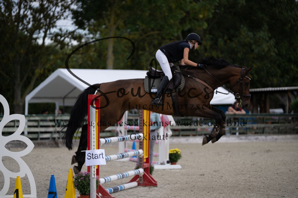 A7V07753 | Pferdefotograf