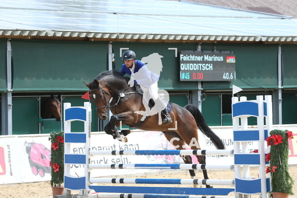 DL2Q5350 | Willkommen bei Brunnmayr - Design & Fotografie – Ihrem Spezialisten für Reitturniere und Pferdeveranstaltungen in Oberösterreich, Salzburg und Bayern! Seit über 17 Jahren sind wir leidenschaftlich dabei.