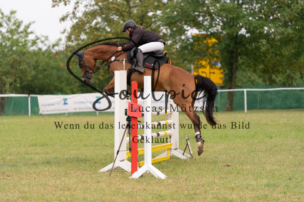 A7506065 | Turnier/Reitfotograf