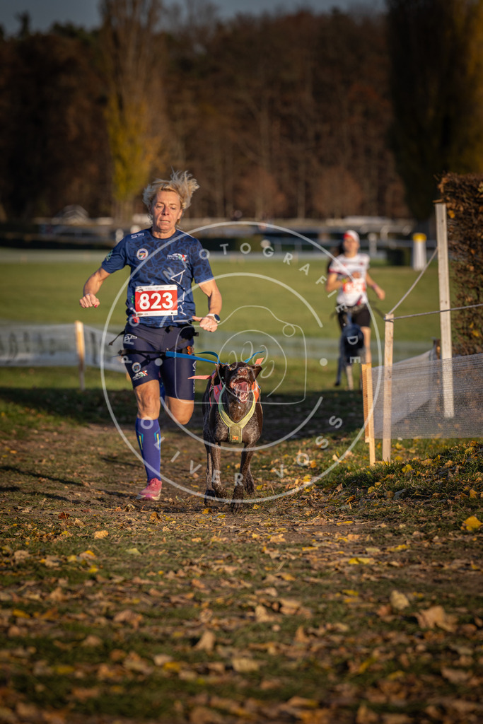 CaniXpix_DV3A3296 | Hundefotografie, Tierfotograf, Pfotenfotografie, Fotoshooting Hund, Hunde Portrait, Hundesport, Hundeportraits, Heideshooting, Hunde, Sportfotograf, Hundefotograf, Turnierhundsport, THS,  - Realisiert mit Pictrs.com