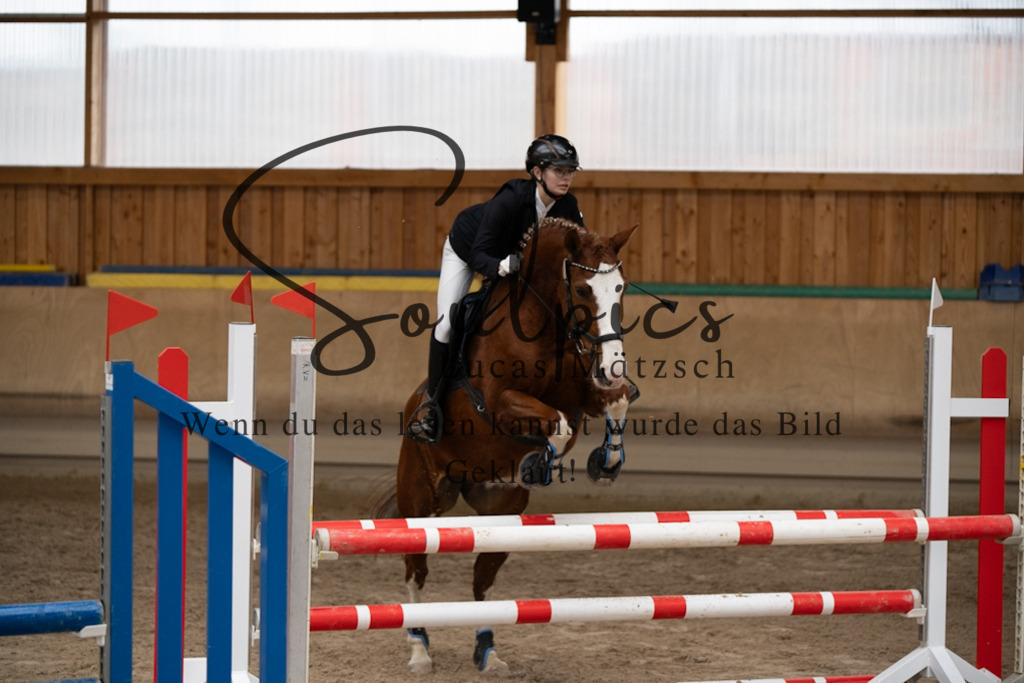 A7V00701 | Pferdefotograf