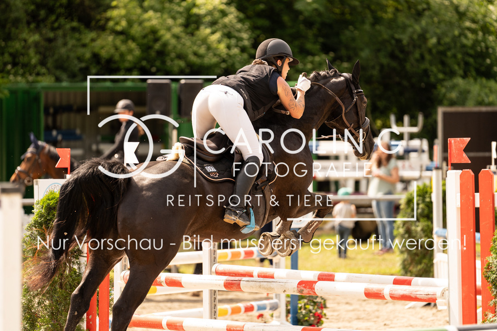 DSC02366 | Carolin Gieschke